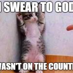 Coward Cat | I SWEAR TO GOD; I WASN'T ON THE COUNTER! | image tagged in coward cat | made w/ Imgflip meme maker