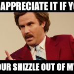 Ron Burgundy  | I'D APPRECIATE IT IF YOU; KEPT YOUR SHIZZLE OUT OF MY BIZZLE | image tagged in ron burgundy | made w/ Imgflip meme maker