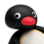 Pingu meme