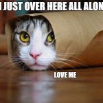 Love me please... | I'M JUST OVER HERE ALL ALONE... LOVE ME | image tagged in love me | made w/ Imgflip meme maker