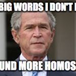 I use big words I don't know | I USE BIG WORDS I DON'T KNOW; TO SOUND MORE HOMOSEXUAL | image tagged in i use big words i don't know | made w/ Imgflip meme maker