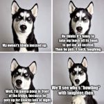 I present to you imgflippers: A New Challenge. Tell a funny Dog Story, with this meme template: | He thinks it's funny to take my leash off its hook to get me all excited. Then he puts it back, laughing. My owner's kinda messed up. We'll see who's "howling" with laughter, then. Well, I'm gonna poop in front of the fridge, because he gets up for snacks late at night. | image tagged in sassy dog,memes,animals | made w/ Imgflip meme maker