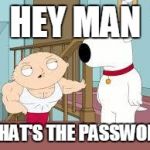 work out stewie | HEY MAN; WHAT'S THE PASSWORD | image tagged in work out stewie | made w/ Imgflip meme maker