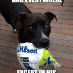 scumbag dog | POOPS ANYWHERE AND EVERYWHERE; EXCEPT IN HIS OWNER'S YARD | image tagged in scumbag dog | made w/ Imgflip meme maker