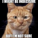 Maybe Maybe | I MIGHT BE INDECISIVE; BUT I'M NOT SURE | image tagged in indecisive cat | made w/ Imgflip meme maker