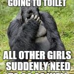 Gorilla discovers humanity  | ONE GIRL SAYS SHE'S GOING TO TOILET; ALL OTHER GIRLS SUDDENLY NEED TO GO AS WELL | image tagged in memes,gorilla,girls,toilet,facepalm | made w/ Imgflip meme maker