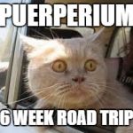 Road Trip | PUERPERIUM; 6 WEEK ROAD TRIP | image tagged in road trip | made w/ Imgflip meme maker