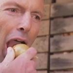 Tony Abbott Onion meme