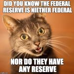 Wow Cat | DID YOU KNOW THE FEDERAL RESERVE IS NIETHER FEDERAL; NOR DO THEY HAVE ANY RESERVE | image tagged in wow cat | made w/ Imgflip meme maker