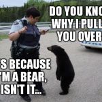 Wildlife Profiling In Canada Needs To Stop! | DO YOU KNOW WHY I PULLED YOU OVER? IT'S BECAUSE I'M A BEAR, ISN'T IT... | image tagged in canadian cop,bear,pulled over,profiling | made w/ Imgflip meme maker