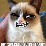 Troll Cat | HOPE YOU DON'T MIND ME ADDING; MY "SPECIAL RECIPE" TANGY MAYO ON YOUR SANDWICH | image tagged in troll cat | made w/ Imgflip meme maker