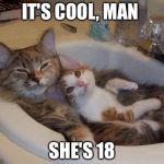 cats in sink | IT'S COOL, MAN; SHE'S 18 | image tagged in cats in sink | made w/ Imgflip meme maker