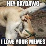 so hot right now | HEY RAYDAWG; I LOVE YOUR MEMES | image tagged in cowboys haters | made w/ Imgflip meme maker