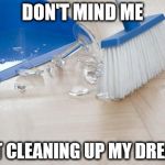 Sweeping Up Glass | DON'T MIND ME; JUST CLEANING UP MY DREAMS | image tagged in sweeping up glass | made w/ Imgflip meme maker