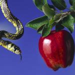 Serpent & The Apple meme