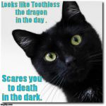 Black Cats Matter | Looks like Toothless the dragon in the day . Scares you to death in the dark. | image tagged in black cats matter | made w/ Imgflip meme maker