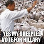 obama sheep | YES MY SHEEPLE... VOTE FOR HILLARY | image tagged in obama sheep | made w/ Imgflip meme maker