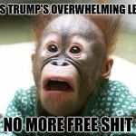 stressedoutface | SEES TRUMP'S OVERWHELMING LEAD; NO MORE FREE SHIT | image tagged in stressedoutface,memes,democrats,liberals | made w/ Imgflip meme maker