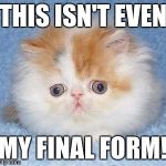 ifthisdoesntworkasdhfasdfhasd | THIS ISN'T EVEN; MY FINAL FORM! | image tagged in ifthisdoesntworkasdhfasdfhasd | made w/ Imgflip meme maker