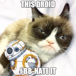 Grumpy Cat Star Wars | THIS DROID; I BB-HATE IT | image tagged in grumpy cat star wars | made w/ Imgflip meme maker