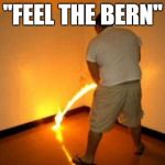 Feel the Bern | "FEEL THE BERN" | image tagged in peeing fire,bernie sanders,feel the bern,meme,memes | made w/ Imgflip meme maker