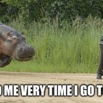 Hippo chasing man | HAPPENS TO ME VERY TIME I GO TO WALMART | image tagged in hippo chasing man | made w/ Imgflip meme maker
