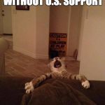 Falling Cat | THE LEAGUE OF NATIONS WITHOUT U.S. SUPPORT | image tagged in falling cat | made w/ Imgflip meme maker