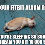 tired puppy | WHEN YOUR FITBIT ALARM GOES OFF; AND YOU'RE SLEEPING SO SOUNDLY YOU DREAM YOU HIT 10,000 STEPS | image tagged in tired puppy | made w/ Imgflip meme maker
