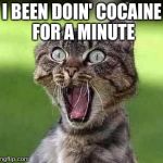 Screaming cat | I BEEN DOIN' COCAINE FOR A MINUTE | image tagged in screaming cat | made w/ Imgflip meme maker
