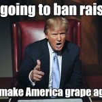 Donald Trunp | I'm going to ban raisins And make America grape again! | image tagged in donald trump you're fired,make america grape again,trhtimmy,donald trump | made w/ Imgflip meme maker