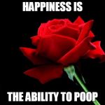 rose | HAPPINESS IS; THE ABILITY TO POOP | image tagged in rose,happiness is,poop | made w/ Imgflip meme maker