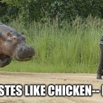 Hippo chasing man | I BET HE TASTES LIKE CHICKEN-- MMMMM!!! | image tagged in hippo chasing man | made w/ Imgflip meme maker