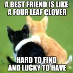 Best Friend | A BEST FRIEND IS LIKE A FOUR LEAF CLOVER; HARD TO FIND AND LUCKY TO HAVE | image tagged in friends | made w/ Imgflip meme maker