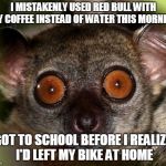 Gives You Wings | I MISTAKENLY USED RED BULL WITH MY COFFEE INSTEAD OF WATER THIS MORNING; I GOT TO SCHOOL BEFORE I REALIZED I'D LEFT MY BIKE AT HOME | image tagged in caffeinated lemur,coffee,caffeine,red bull | made w/ Imgflip meme maker