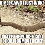 snake | OHR MEE GAWD I JUST WOKE UP; I HAVE THE WORST CASE OF COTTONMOUTH EVER | image tagged in snake | made w/ Imgflip meme maker