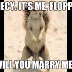 Squirrel nuts | CECY. IT'S ME, FLOPPY; WILL YOU MARRY ME? | image tagged in squirrel nuts | made w/ Imgflip meme maker