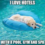 cool dog | I LOVE HOTELS; WITH A POOL, GYM AND SPA | image tagged in cool dog | made w/ Imgflip meme maker