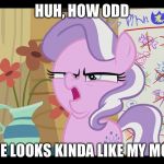 I can really see the resemblance | HUH, HOW ODD; SHE LOOKS KINDA LIKE MY MOM | image tagged in mlp wtf | made w/ Imgflip meme maker