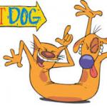 catdog crazy