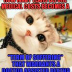 Stupid Questions | HOW MANY YEARS BEFORE MEDICAL COSTS BECOMES A; "TERM OF SUFFERING" THAT WARRANTS A DOCTOR ASSISTED DEATH? | image tagged in cute cat,suicide,doctor death,euthanasia,soylent green | made w/ Imgflip meme maker