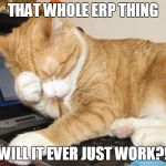 ERP! It's frustrating! | THAT WHOLE ERP THING; WILL IT EVER JUST WORK?! | image tagged in erp frustrations,frustrated,it is hard,it,computers,system administration | made w/ Imgflip meme maker
