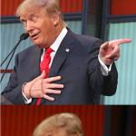 Bad Pun Trump meme