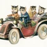 Cats Out For A Ride
