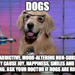 Chemistry Dog | DOGS; A NON-ADDICTIVE, MOOD-ALTERING NON-SUBSTANCE THAT MAY CAUSE JOY, HAPPINESS, SMILES AND FEELINGS OF WELL-BEING. ASK YOUR DOCTOR IF DOGS ARE RIGHT FOR YOU. | image tagged in chemistry dog | made w/ Imgflip meme maker