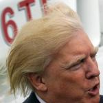 Trump Hair meme