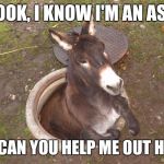 Please? | LOOK, I KNOW I'M AN ASS; BUT CAN YOU HELP ME OUT HERE? | image tagged in ass in a hole,funny,memes | made w/ Imgflip meme maker