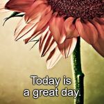 Strong by Necessity, Sweet by nature | Today is a great day. | image tagged in strong by necessity sweet by nature | made w/ Imgflip meme maker