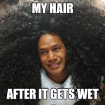 troy hair | MY HAIR; AFTER IT GETS WET | image tagged in troy hair | made w/ Imgflip meme maker