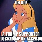 OH NO | OH NO! A TRUMP SUPPORTER BLOCKED ME ON FACEBOOK | image tagged in oh no | made w/ Imgflip meme maker