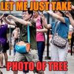 Asian Tourist | LET ME JUST TAKE; PHOTO OF TREE | image tagged in asian tourist | made w/ Imgflip meme maker
